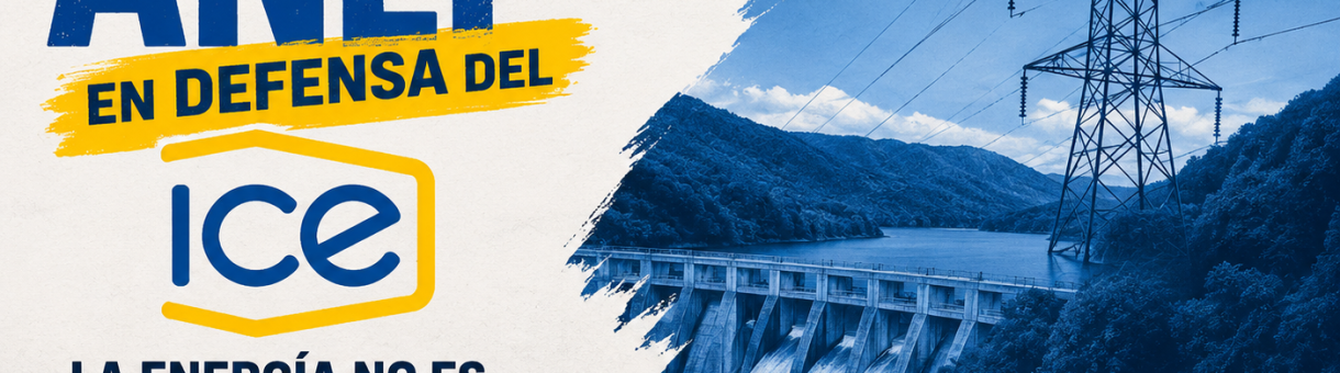 Posición de la ANEP ante la destrucción del Modelo Eléctrico Solidario